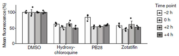 1625645509978979.png 640 (6).png